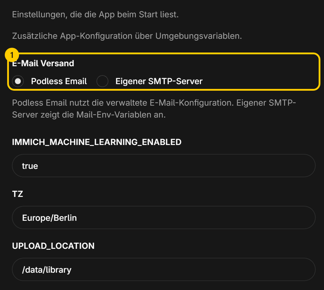 The list of environment variables with their values